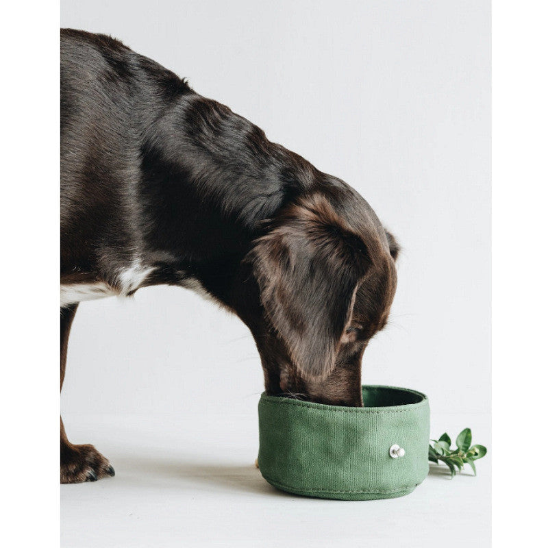 Foldable Drinking Water Bowl for dogs