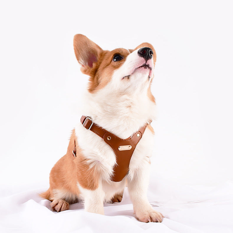 Leather harness for your dog
