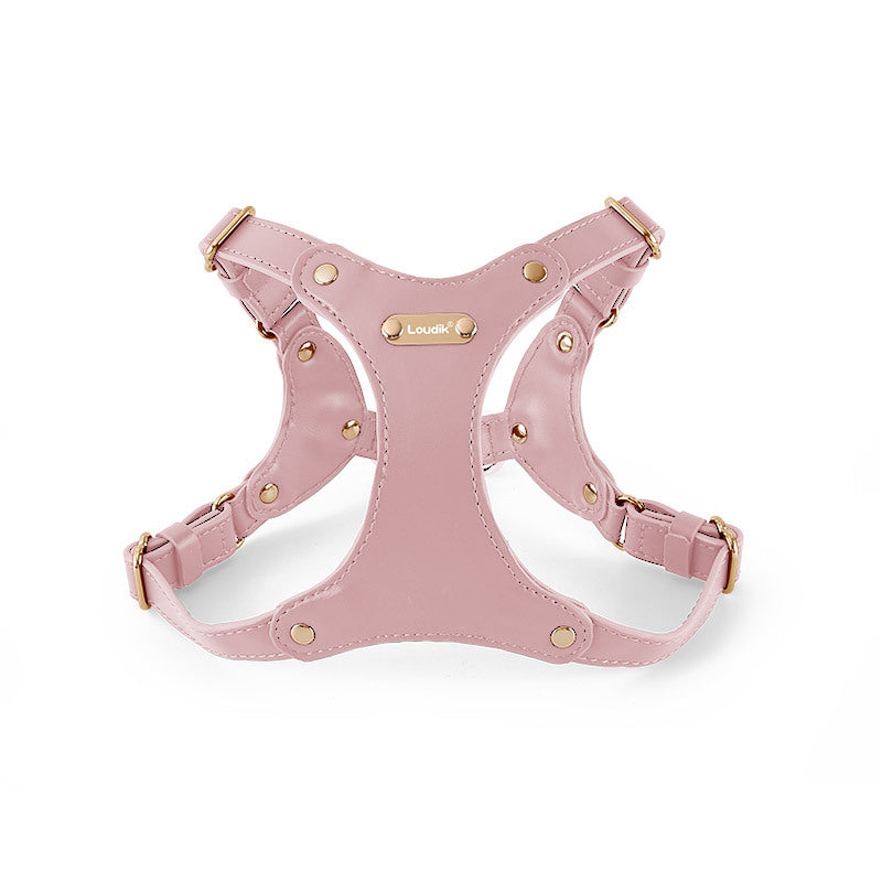 Leather harness for your dog