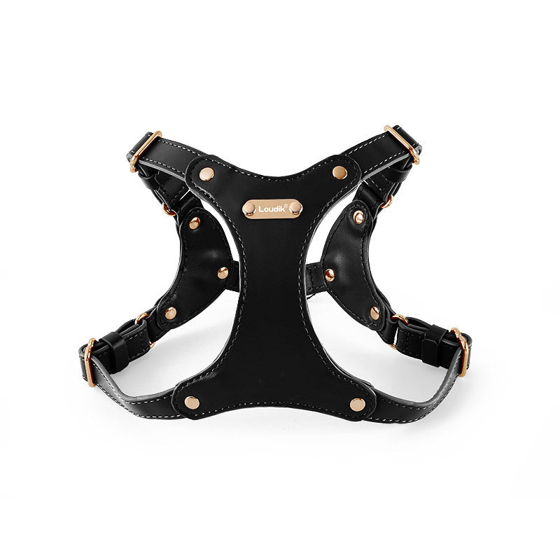 Leather harness for your dog