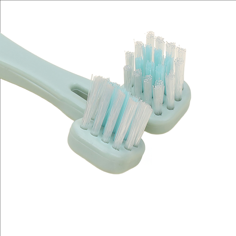 Professional Dog Grooming Kit