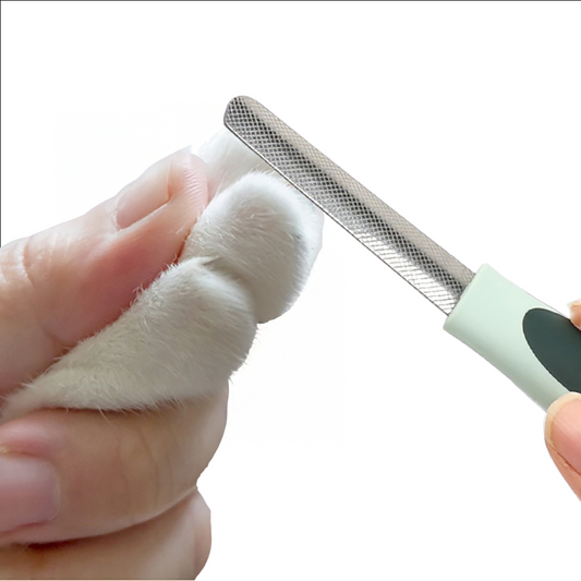 Professional Dog Grooming Kit