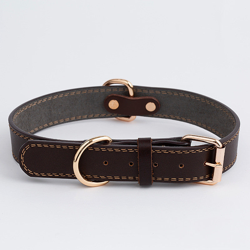 Durable Leather Collar for Dogs