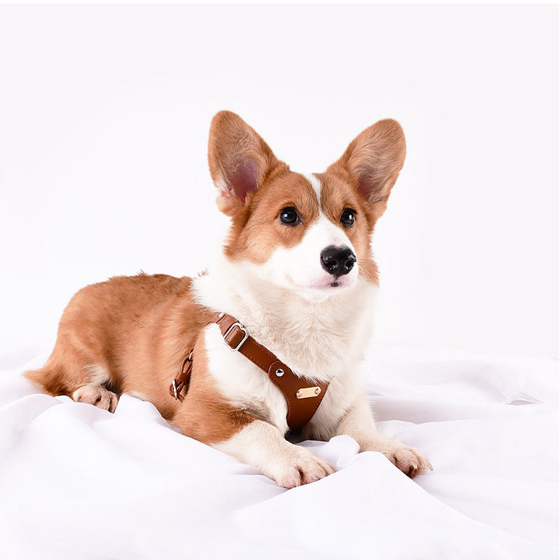 Leather harness for your dog